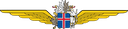 Húfa Flugmálastjórn